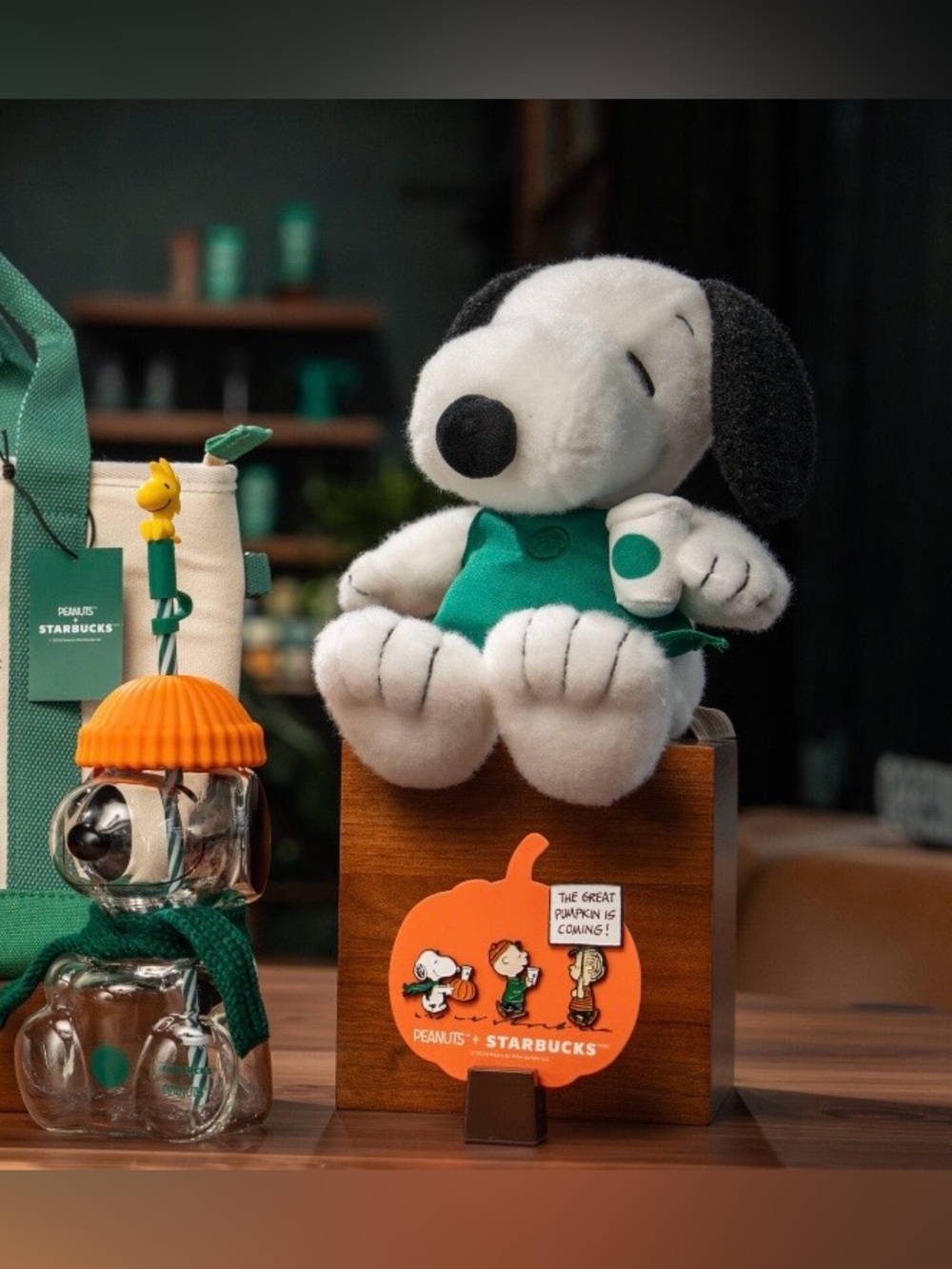 Starbucks Bundle Snoopy peanuts glass tumble, Snoopy Plush barista & pins